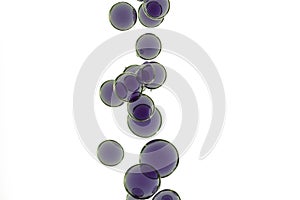 Cascade of bubbles over a white background.