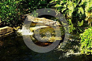 Cascade of candor in greenery garden