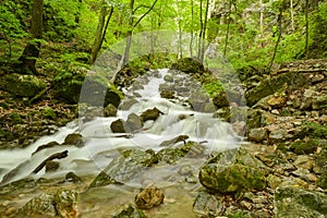 Cascade of Chotarny stream in beautiful Zadielska Gorge in Slovak Karst