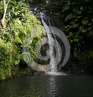 cascade de bis, tropical waterfall in the caribbean jungle, guadeloupe photo