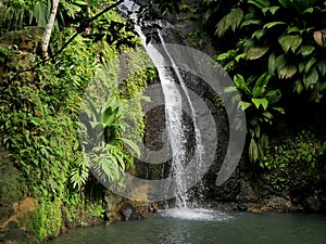 cascade de bis, tropical waterfall in the caribbean jungle, sain photo