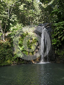 Cascade de bis : waterfall in the middle of a lush green forest, sainte rose, guadeloupe