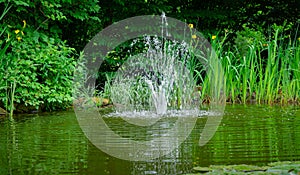 Cascade fountain on emerald surface of old pond against background of greenery of shady garden.