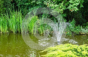 Cascade fountain on emerald surface of pond in the old shady garden. Freshness and coolness