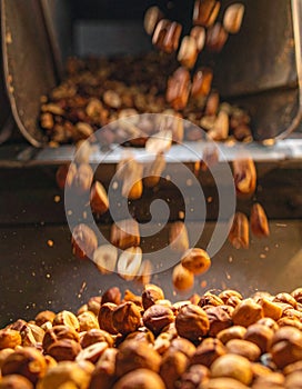 Peanut Processing on an Industrial Production Line