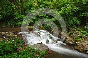 Cascade, The Great Smoky Mountains national park