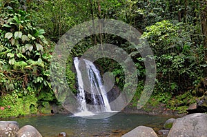 Cascade in Guadeloupe