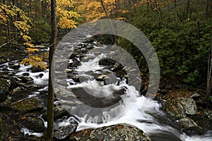 Cascade in Little Pigeon River in the Autumn