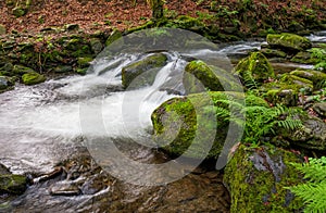 Cascade on the little stream with stones in forest