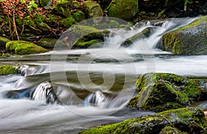 Cascade on the little stream with stones in forest