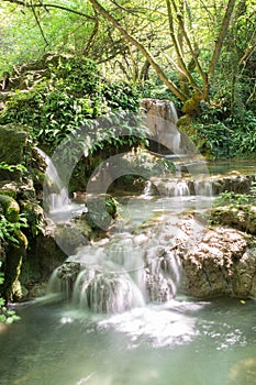 A Cascade of Little Waterfalls in Forest Krushuna, Bulgaria 3