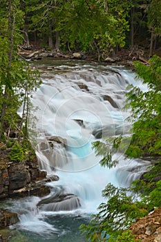 Cascade on McDonald Creek, Glacier National Park.