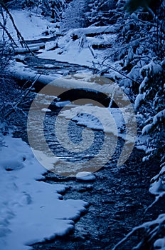 Cascade Mountain Blue Hour: Flocked Branches and Flowing Water