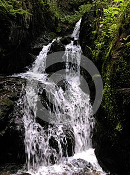 Cascade naturelle et sauvage