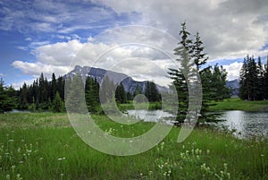 Cascade Ponds photo