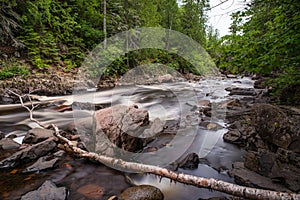 Cascade River with Fallen Tree Branch