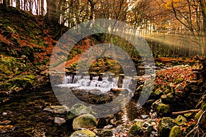 Cascade on river and footpath with sunbeams shining through branches in golden coloured autumn trees