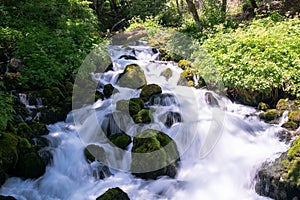 Cascade river in Montenegro