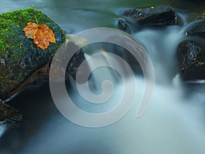 Cascade on small mountain stream, water is running over mossy sandstone boulders and bubbles create on level milky water.