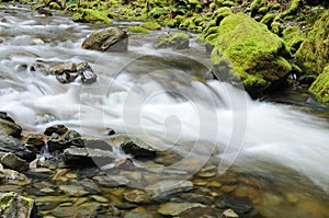 Cascade and Stone photo