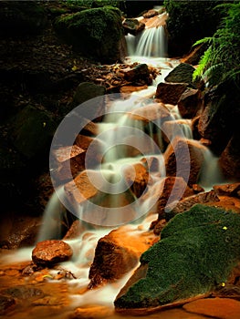 Cascade on stream of mineral water with iron sediment on green mossy boulders. Early morning in shadows below old trees.