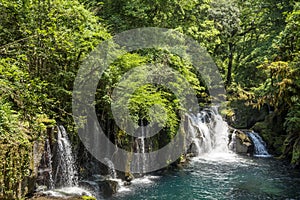 Cascade under primeval forest