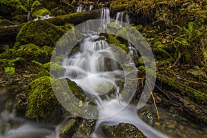 Cascade on Whidbey Island in Washington