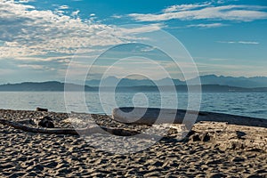 Cascades From Alki