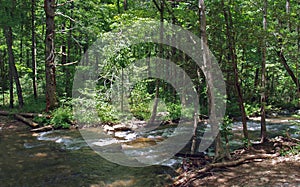 Cascades along Catawba River in Pisgah National Forest