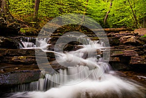 Cascades and bright spring greens on Glen Leigh, in Ricketts Glen State Park