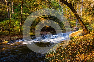 Cascades on the Gunpowder River in Gunpowder Falls State Park, M