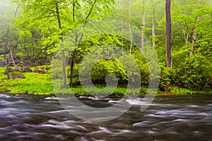 Cascades on the Gunpowder River, near Prettyboy Reservoir in Baltimore County, Maryland.