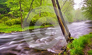 Cascades on the Gunpowder River near Prettyboy Reservoir in Baltimore County, Maryland.