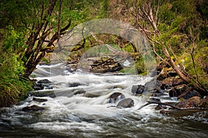 Cascades, the Lefroy Brook transforms from a gentle flow in mid summer to a raging torrent in winter