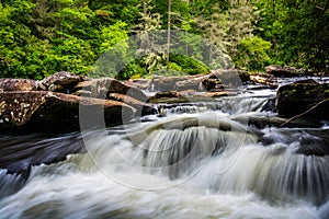 Cascades on Little River, in Dupont State Forest, North Carolina