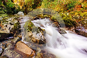 Cascades on a mountain stream with mossy rocks in Tollymore Forest Park