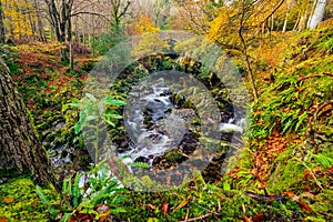 Cascades on a mountain stream with mossy rocks in Tollymore Forest Park