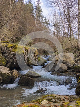 Cascades of the Pal river