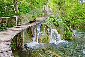 Cascades in Plitvice lakes national park photo