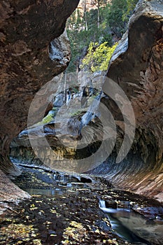 Cascades and pools at the Subway Entrance Vertical