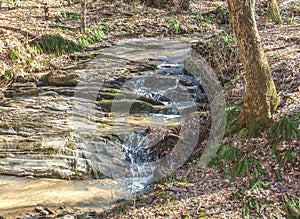 Cascades Preserve Loop Trail near Oak Ridge, North Caroliina