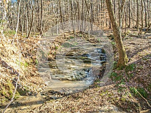 Cascades Preserve Loop Trail near Oak Ridge, North Caroliina