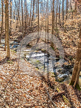 Cascades Preserve Loop Trail near Oak Ridge, North Caroliina