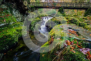 Cascades under wooden bridge on mountain stream, with mossy rocks in Tollymore Forest Park