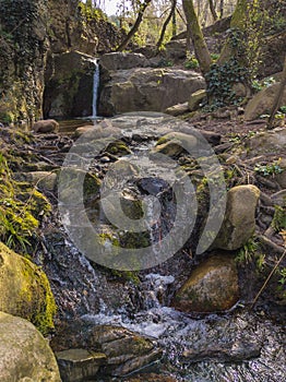 Cascades of the Vallcarquera creek