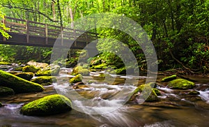 Cascades and walking bridge over the Oconaluftee River photo