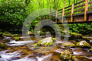 Cascades and walking bridge over the Oconaluftee River photo