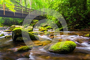 Cascades and walking bridge over the Oconaluftee River photo