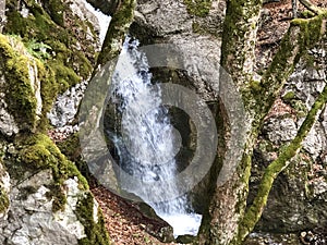 Cascades and waterfalls on the creek under the Alp Sigel peak in Alpstein mountain range and Appenzellerland region