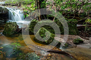 Cascading creek through moss covered rocks